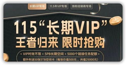 永久国产,揭秘其历史、文化与社会发展  第2张
