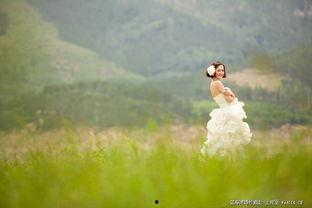 青青青草国产免费,国产影视的清新之作  第2张